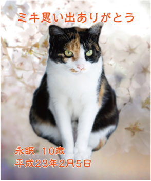 ペットのメモリアル写真修正例04後