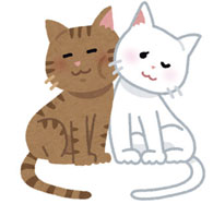 グラビアイラスト